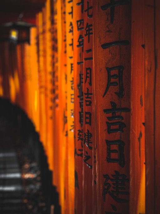 The Comprehensive Guide to Fushimi Inari Taisha Shrine in Kyoto