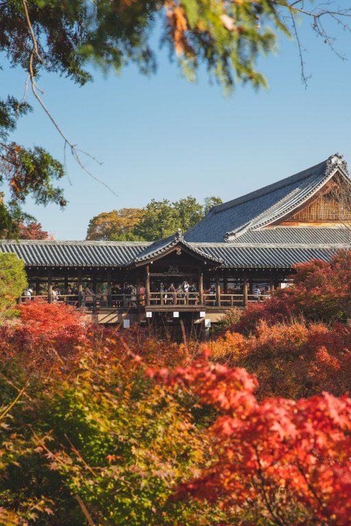 The Ultimate Guide to Kyoto Bike Tours: Discovering Japan's Ancient Capital on Two Wheels