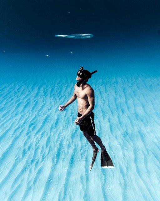 Best Underwater Photography Cameras