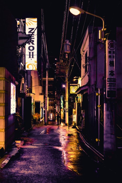 The Captivating World of Tokyo Street Photography: An In-Depth Exploration